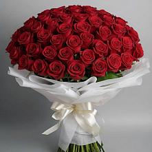 Букет 101 Красная роза Блэк Мэджик в Улётах